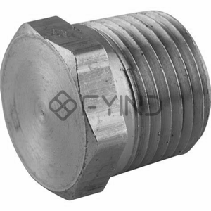 Pipe Plug