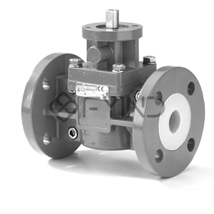 Plug Valve