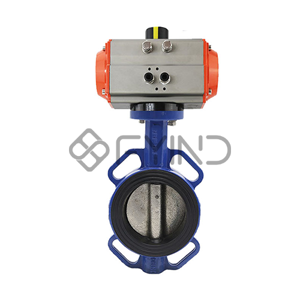 Butterfly Valve