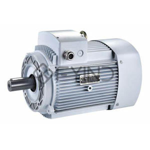 Electric Motor