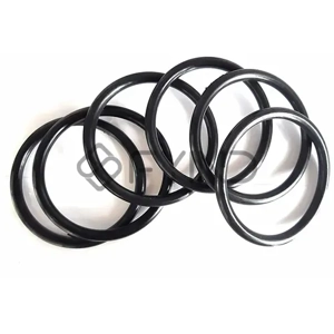 O Ring Gasket