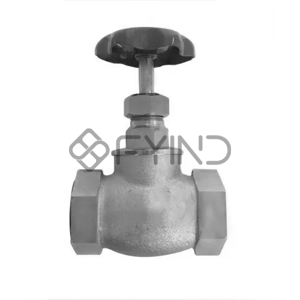 Globe Valve