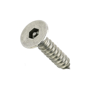 Security Screw