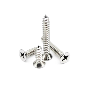 Security Screw