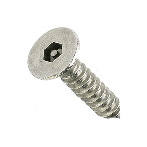 Security Screw