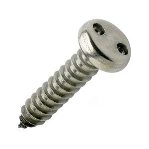 Security Screw