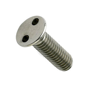 Security Screw