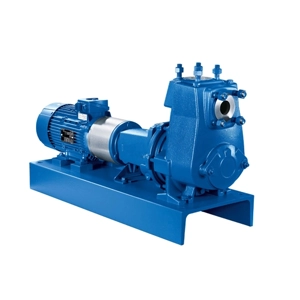 Self Priming Pump