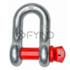 Dee Shackle