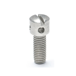 Slotted Screw