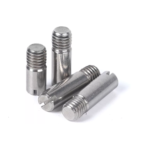 Slotted Screw