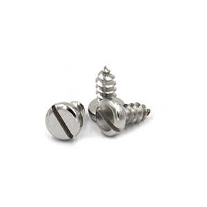 Slotted Screw