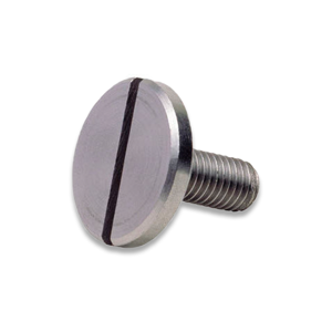 Slotted Screw