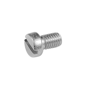 Slotted Screw