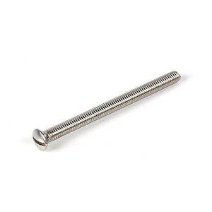 Slotted Screw