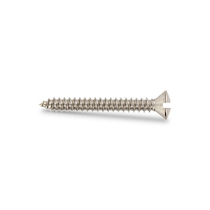 Slotted Screw