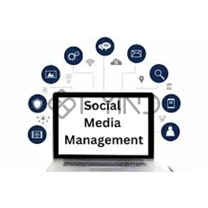 Social Media Management Service
