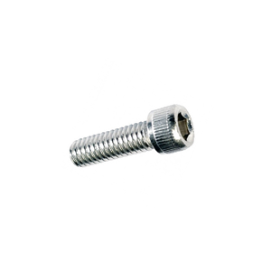 Socket Screw