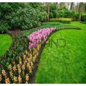 Landscaping & Design Service