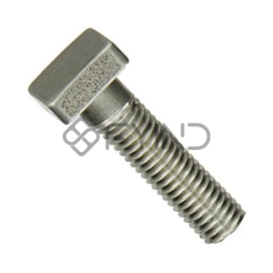 Square Head Bolt