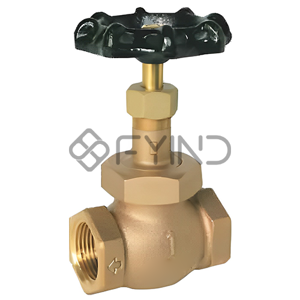 Globe Valve