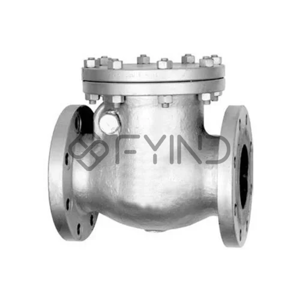 Check Valve