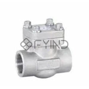 Check Valve
