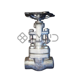 Globe Valve