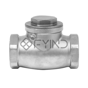 Check Valve