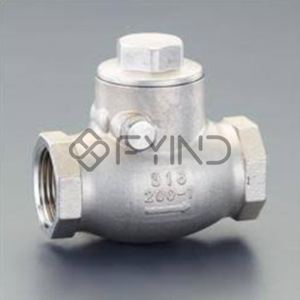 Check Valve