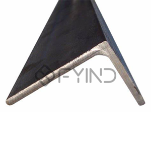 Carbon Steel Angle