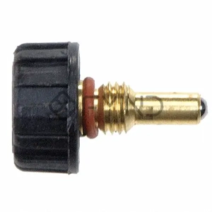 Valve Stem