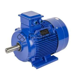 Induction Motor