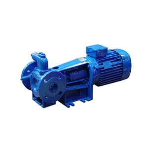 Gear Pump