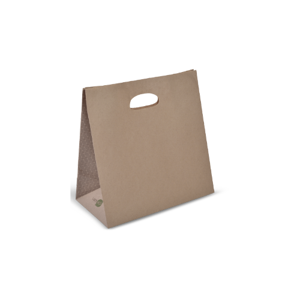 Paper Bag