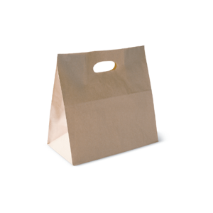 Paper Bag