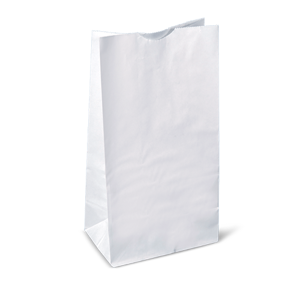 Paper Bag