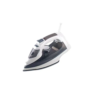 Domestic Clothing Iron