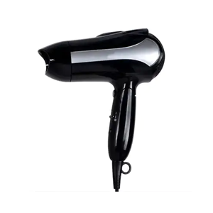 Domestic Hair Dryer
