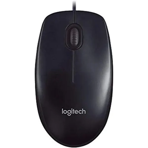 Computer Mouse