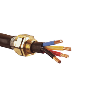 Cable Gland