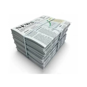 Newspaper