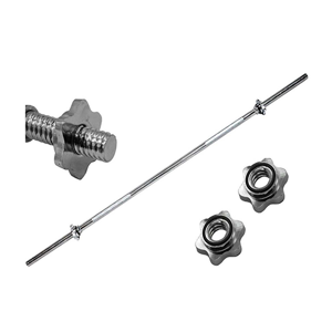 uae/images/productimages/dubai-sports-llc/barbell/regular-straight-bar-rb-72-72-in.webp