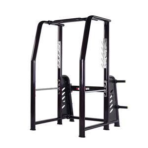 uae/images/productimages/dubai-sports-llc/squat-rack/squat-rack-sg-9021-130-159-kg.webp