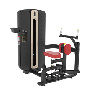 uae/images/productimages/dubai-sports-llc/upper-body-resistance-machine/rotary-torso-strength-machine-sg-m011-160-199-kg.webp