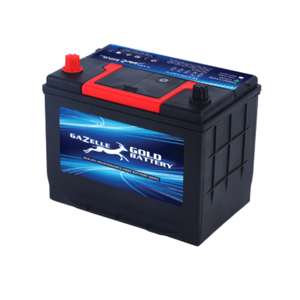 Rechargeable Battery