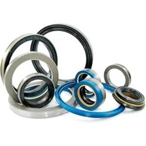 Oil Seal