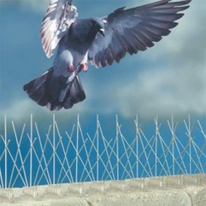 uae/images/productimages/eastern-wings-equipment/bird-spike/stainless-steel-pigeon-spikes.webp