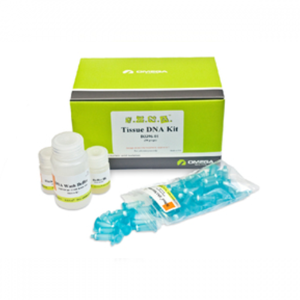 DNA Extraction Kit
