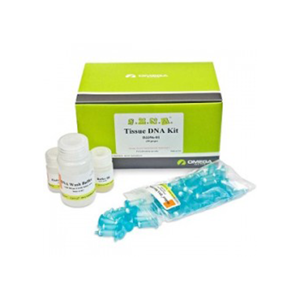 DNA Extraction Kit